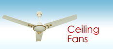 cieling fans